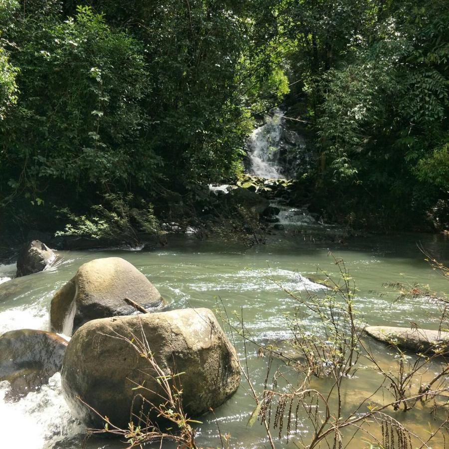 Hotel Khao Sok River & Jungle 3*