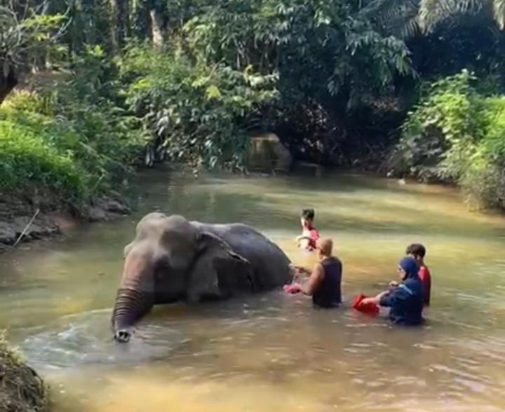 Hotel Khao Sok River & Jungle 3*