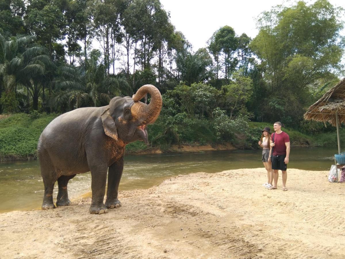Khao Sok River & Jungle Hotel