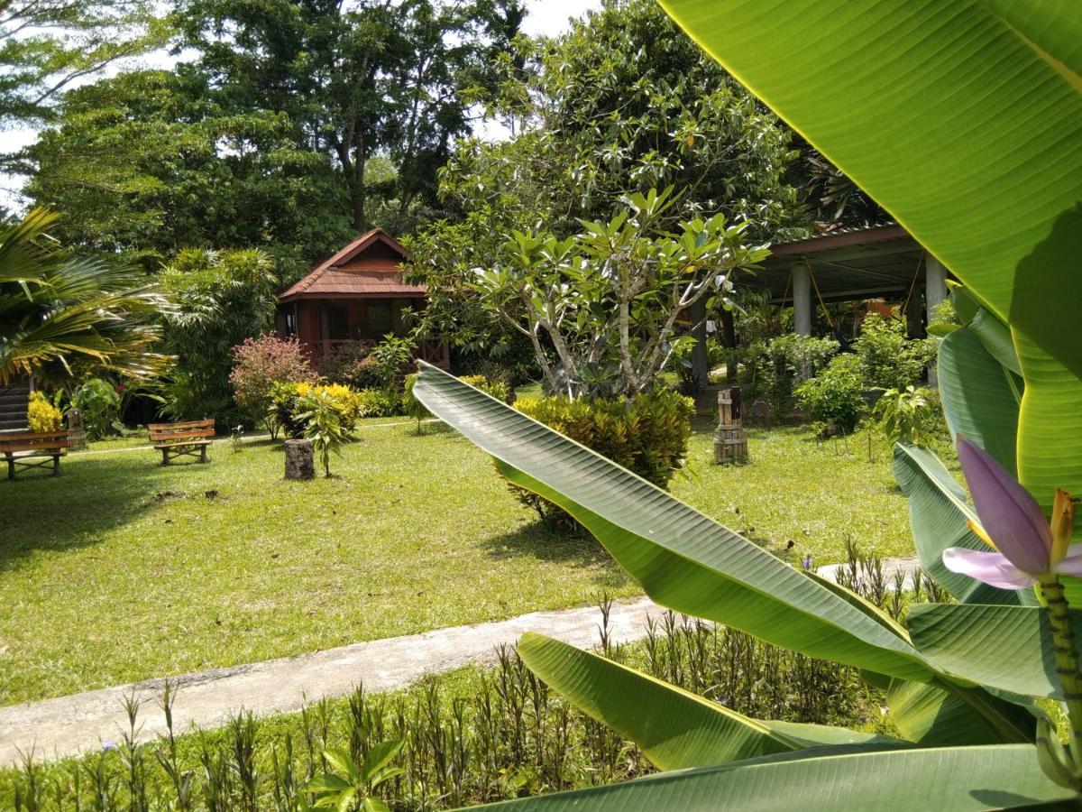 Khao Sok River&jungle