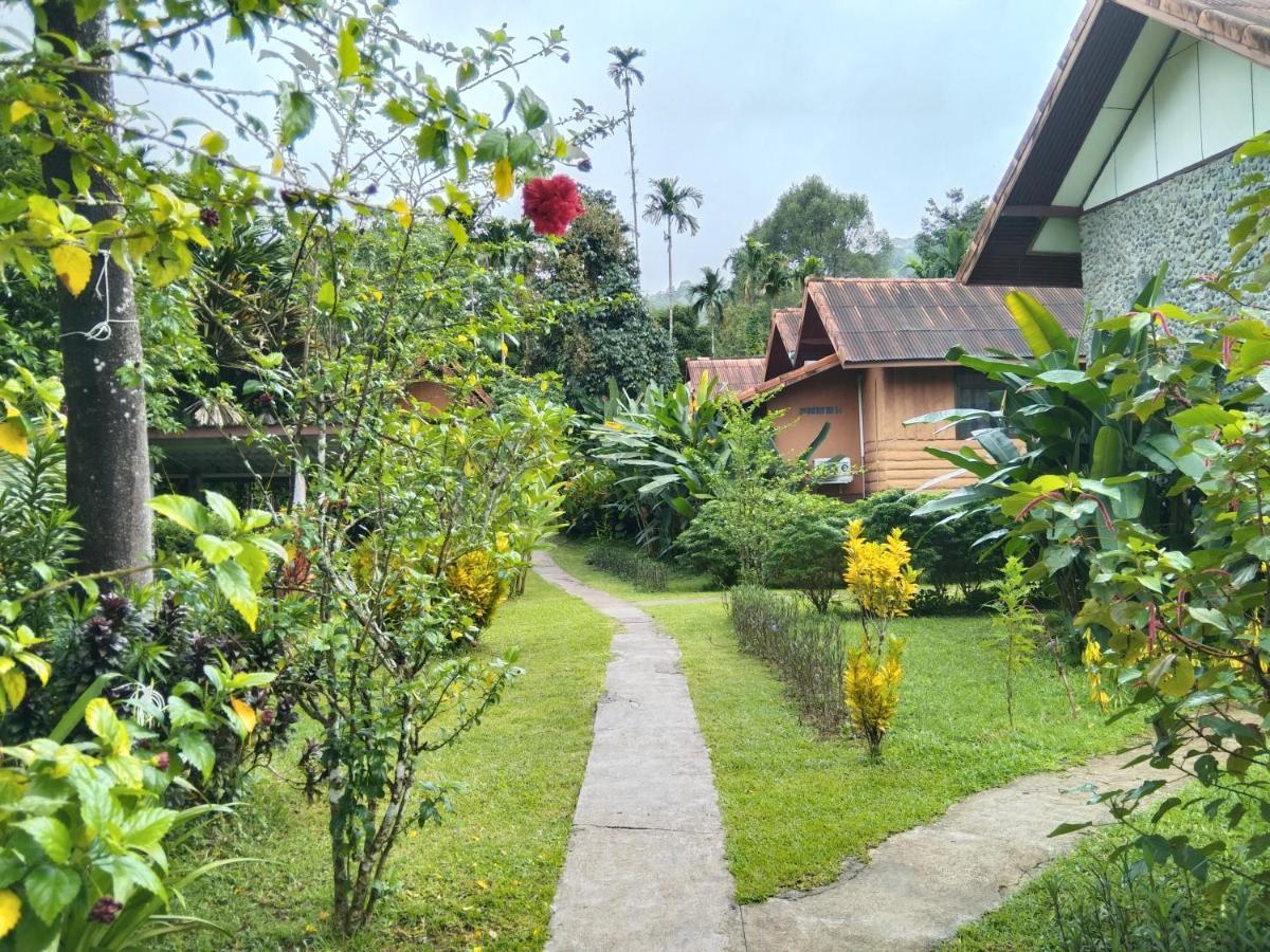 Khao Sok River & Jungle